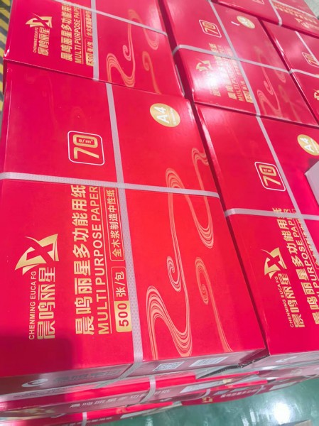 棗莊靜電復印紙4
