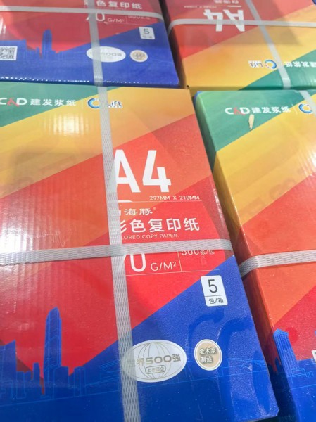 棗莊靜電復印紙6